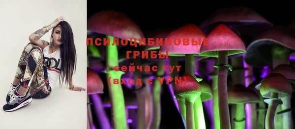 MESCALINE Арсеньев