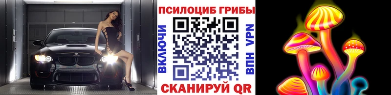 закладка  omg tor  Псилоцибиновые грибы прущие грибы  Слюдянка 